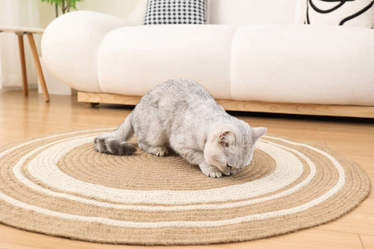 Natural Jute Round Area Rug - Stylish & Durable