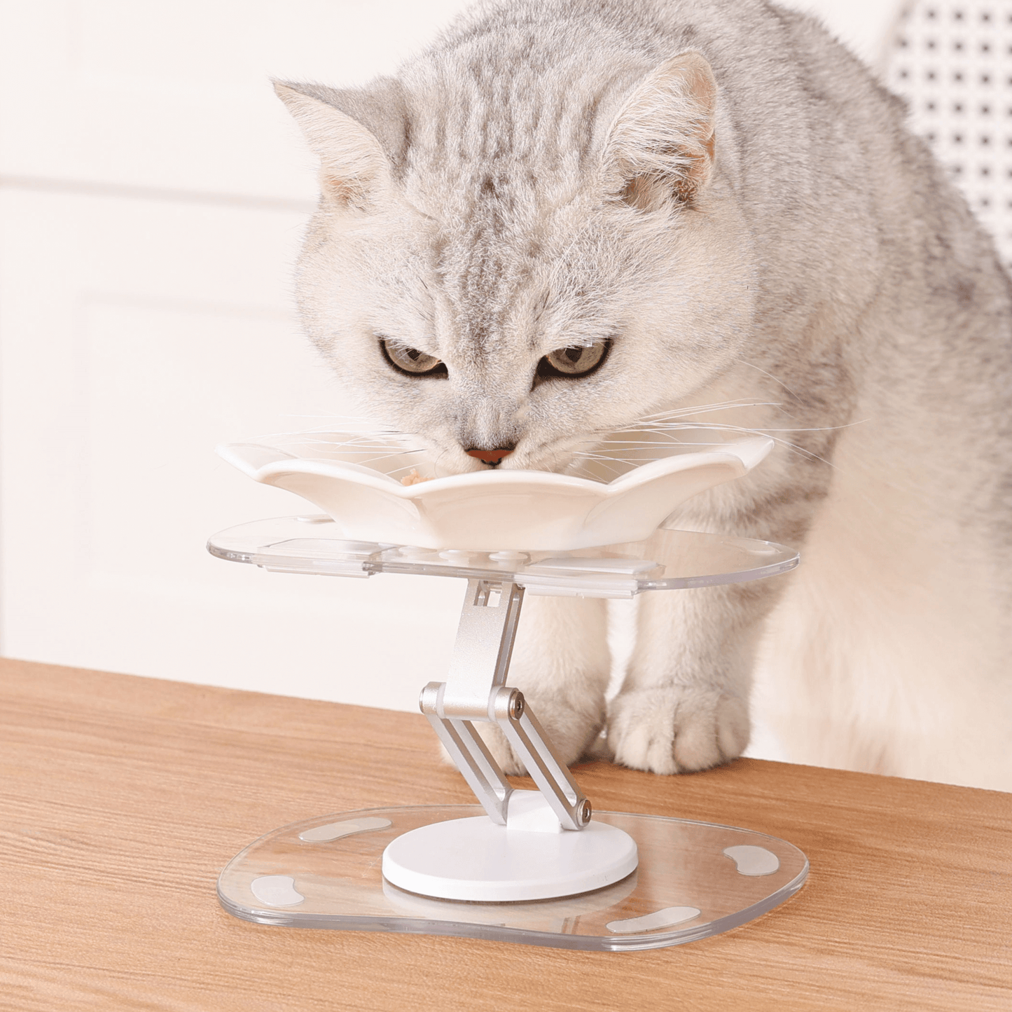 Cat eating comfortably from a multi-angle adjustable feeding stand on a wooden surface.