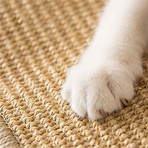 A cat paw scratching on a densed sisal scratching mat