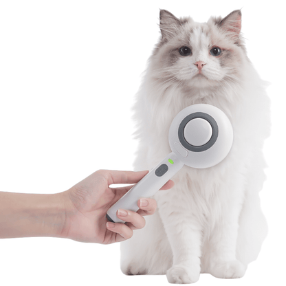 Hand using a Steam Cat Brush for grooming a fluffy white cat, featuring a one-click hair removal and massage function.