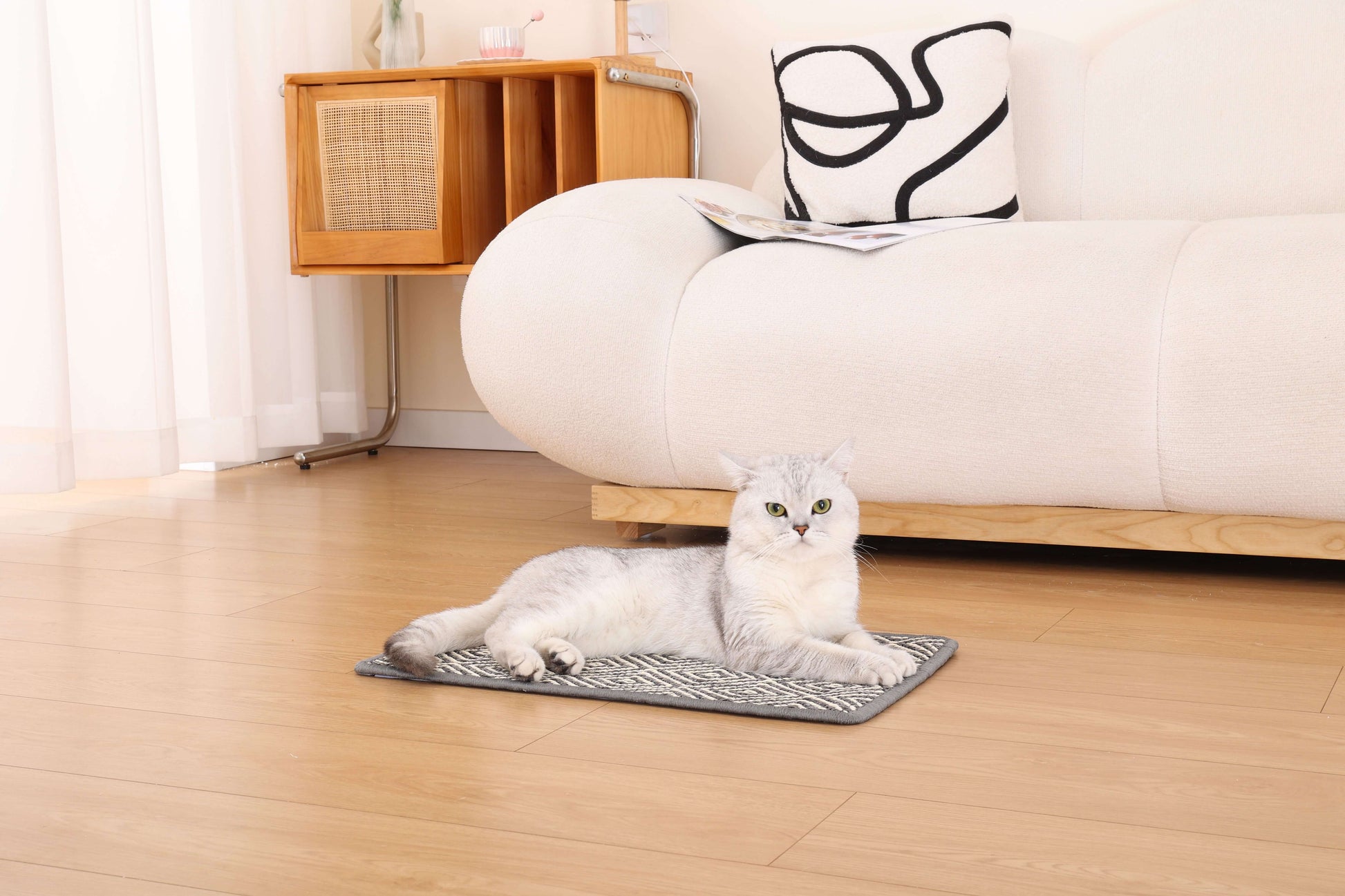 Cat relaxing on a boho-style natural sisal scratching mat in a modern living room.