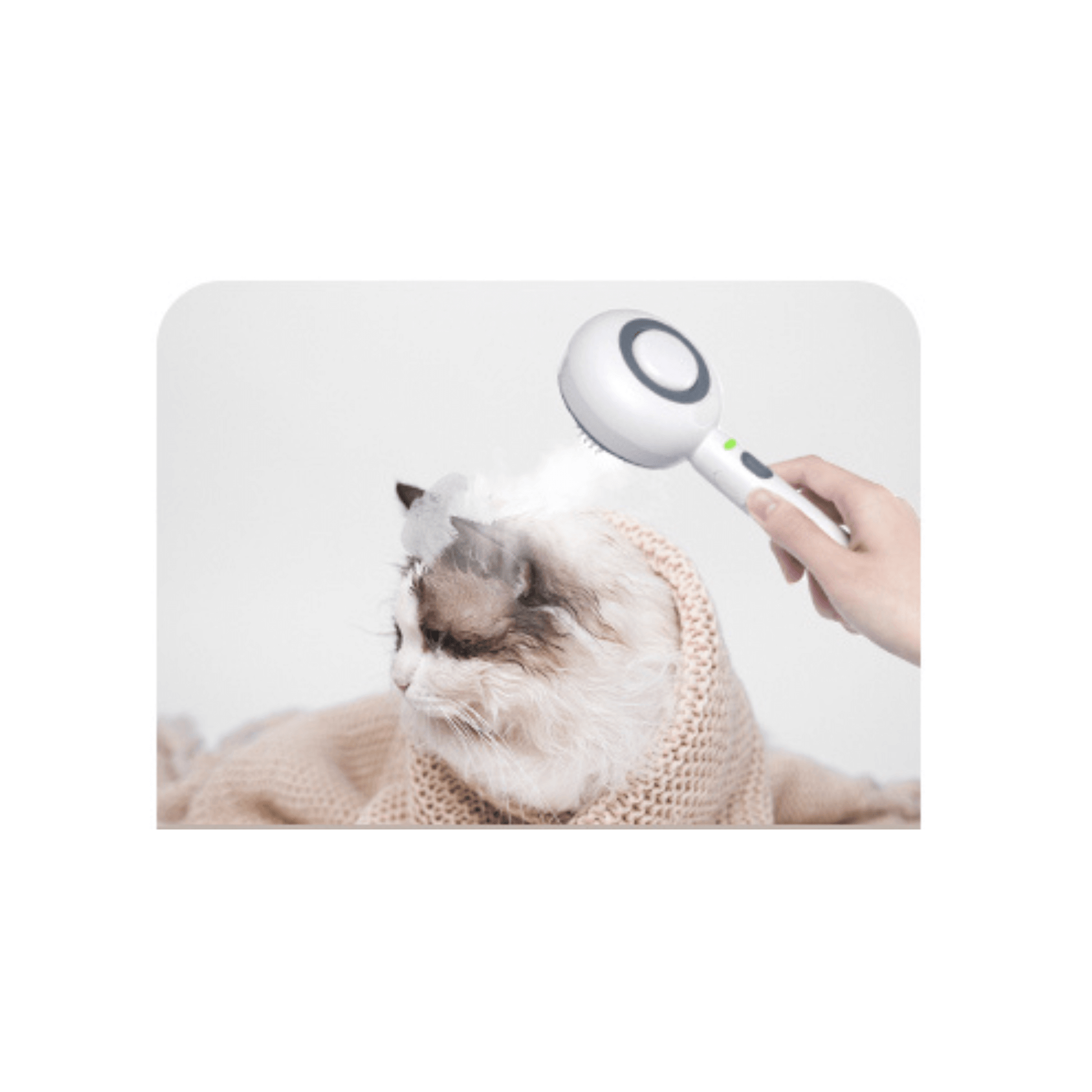 Cat being groomed with a Steam Cat Brush featuring one-click hair removal and soothing massage function.