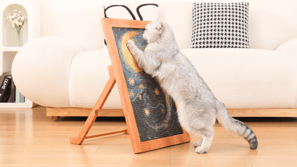 The Ultimate Art Scratcher